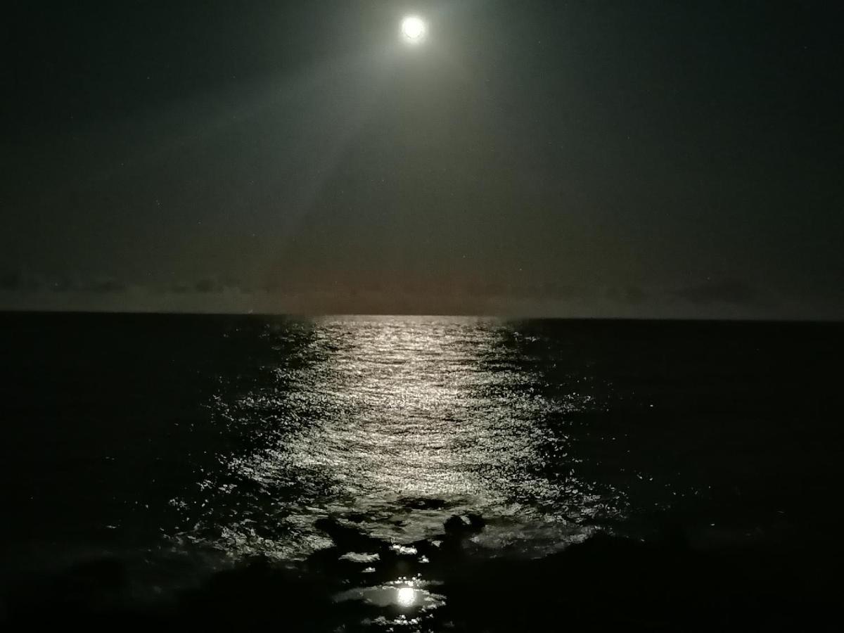 Blue Sea. Tony Frias. Las Eras. Arico - Tenerife. Arico el Nuevo ภายนอก รูปภาพ
